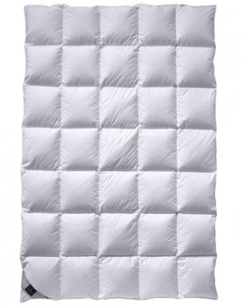 Billerbeck Classic Daune 308 Ambiente mono