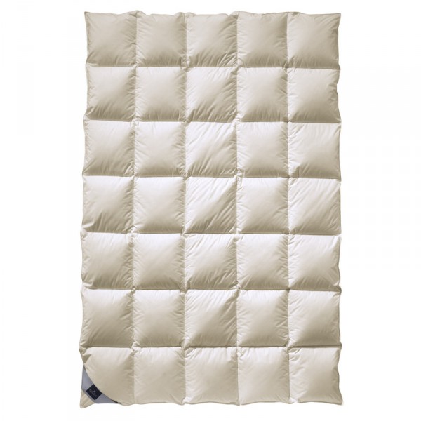 Billerbeck Exclusiv Daune 108 Duchessa Mono