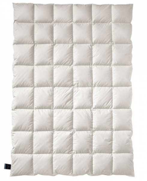 Billerbeck Exclusiv Daune 105 Elegance Duo