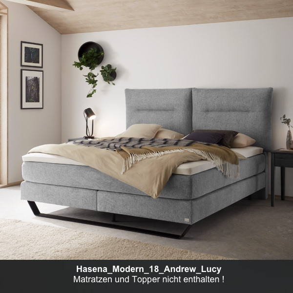 Hasena_Modern_18_Andrew_Lucy