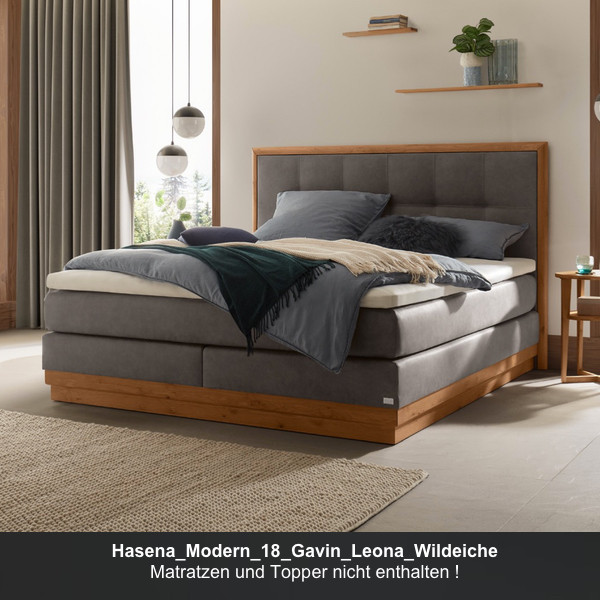 Hasena_Modern_18_Gavin_Leona_Wildeiche