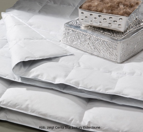 Centa Star Luxury Eiderdaunen Kassettenbett warm Winterbett