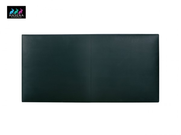 Hasena Saia Wandpaneele gepolstert